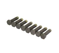 8x LUK 411002610 Schraube Schwungrad für BMW E46 320d M3 Z4 M47 S54 11222243051