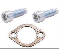 SECURA Dichtung + Schrauben kompatibel mit B&S Auspuff auf MTD Rasentraktor