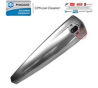 Seehecht Verkleidung Windschild Vorne Grau 673722 piaggio beverly 350 St 2016-20