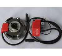 Selettra KZ komplett Zündung Kreidler Sachs 3 Gang AM6 Malossi Coil Dmon00131282