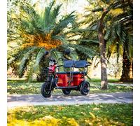 Seniorenfahrzeug Elektro Scooter Trike Dreirad Seniorenmobil 3 Rad 25 km/h APM5