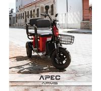 Seniorenfahrzeug Elektro Scooter Trike Dreirad Seniorenmobil 3 Rad 25 km/h APM5