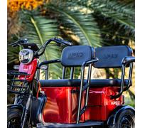 Seniorenfahrzeug Elektro Scooter Trike Dreirad Seniorenmobil 3 Rad 25 km/h APM5