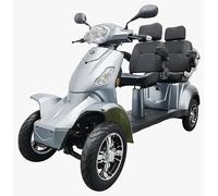 Seniorenmobil VITA CARE 4000 Duo - Zweisitzer Elektromobil, 25 km/h, 1000 W, Blei-Gel-Akku 60V/20Ah, bis 40 km, 4 Räder, 250 kg Zuladung, Straßenzulassung