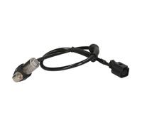 Sensor, Raddrehzahl DELPHI SS20194