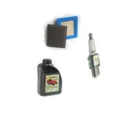Service Kit Überhol - Kit für Briggs&Stratton Quantum Europa 3HP - 5 HP Serie
