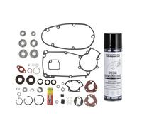 Set: Motorregenerierung SNH für Motortyp M53/2 - für Simson Schwalbe KR51/1