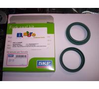 Set Öldichtung Staub Gabel SKF Kayaba Stossdämpfer Öhlins 48 MM Grün