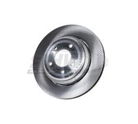 SHW Performance Bremsscheibe