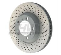 SHW Performance Bremsscheibe