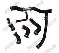 Silikon Kühlwasserschläuche Entlüftungsschraube Für Land Rover Discovery 2 TD5