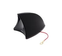 Simoni Racing ASR/05 Autoantenne Antenne