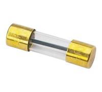Sinuslive Car-HiFi Glassicherung 100 A 1 St.