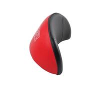 Sissy Bar Fit Für Honda Forza 350 300 250 125 2018-2025 Motorrad Zubehör Passagier Rückenlehne Hinten Sitzkissen Pad Sozius-Rückenlehne(Red)