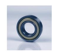 SKF Rillenkugellager 6305 -2Z/C4