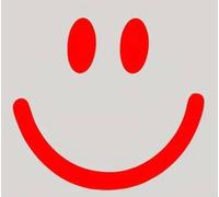 Smile Womo Camper Hingucker Auto Aufkleber reflektierend Reflektor Sticker