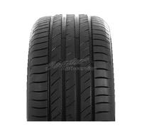 Delinte DS2 SUV 235/65R17 108 H XL