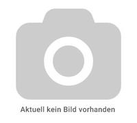 Sony MPS-100 Lautsprecher