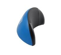 Sozius-Rückenlehne Fit Für Honda Forza 350 300 250 125 2018-2025 Motorrad Zubehör Passagier Rückenlehne Hinten Sitzkissen Pad(Blue)