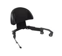 Sozius-Rückenlehne Fit Für Honda Forza 350 300 250 125 2018-2025 Motorrad Zubehör Passagier Rückenlehne Hinten Sitzkissen Pad Beifahrer enlehne(Black)