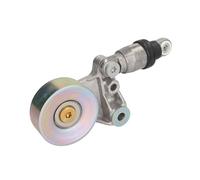 Spannarm, Keilrippenriemen Schaeffler INA 534 0021 10