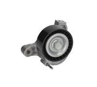 Spannarm, Keilrippenriemen Schaeffler INA 534 0625 10