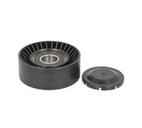 INA INA531089110 531 891 10 Spannrolle, Keilrippenriemen