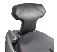Beifahrer-Rückenlehne für Suzuki Burgman 400 (17-21)
