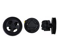 SPIDAN Hydraulikpumpe, Lenkung für MITSUBISHI 52717