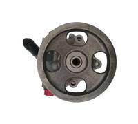 SPIDAN Hydraulikpumpe, Lenkung für PEUGEOT CITROËN/PEUGEOT CITROËN 54361