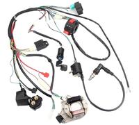 SPUFKGE Für Motorrad ATV Quad Pit Bike Buggy Go Kart 50 70 90 110 125cc CDI Zündung Kompletter Kabelbaum Set Motorrad Zündspule