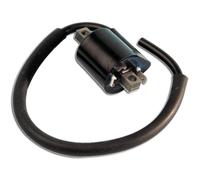 Spule Für Ducati Roller 50CC MBK Booster Next NG 50 2003-2003