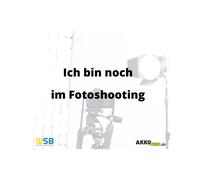 SSB Blei Akku SBLFT 55-12i AGM Batterie M6 Schraubanschluss - 12V 55Ah