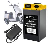 SSCYHT Lithium-Batterie 60 V 20 Ah 22,5 Ah 31,5 Ah 27 Ah Roller-Batterie 72 V LiFePO4-Batterien 48 V Motorradbatterien mit Ladegerät und Griff für Motoren von 750 W bis 2000 W,60v20ah
