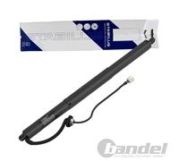 Stabilus POWERISE® elektrischer Kofferraumantrieb für TESLA Model Y 5YJY 2019- motorisierte Heckklappe u.a. für 1500601-10-B/1500601-20-B