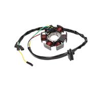 Lichtmaschine / Zündung ohne Rotor 80W (Ducati) Minarelli AM6 / Derbi