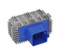 Steuergerät, Glühzeit BORG WARNER (BERU) GSE142