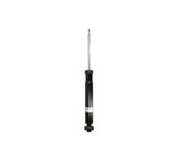Stoßdämpfer Hinterachse Bilstein 19-322346