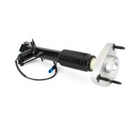 Stoßdämpfer Hinterachse rechts oben Stift SK-3816 Arnott für BMW X5 X6
