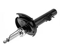 NTY Stoßdämpfer A-FR-033 Gasdruck vorne links für Ford Kuga I