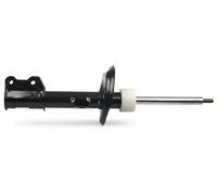 FAST Stoßdämpfer FT11290 – vorne links, Zweirohr – für PEUGEOT FIAT CITROËN