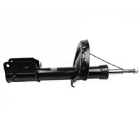 FAST FT11294 Stoßdämpfer für CITROËN,FIAT,PEUGEOT