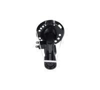 KAVO PARTS SSA-10864 Stoßdämpfer