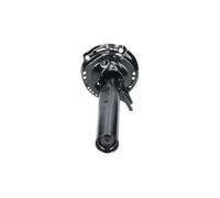 Stoßdämpfer KAVO PARTS SSA-11441