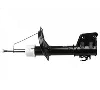 Stoßdämpfer FAST FT11279