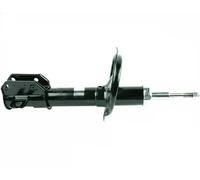 Stoßdämpfer FAST FT11006