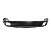 DIEDERICHS Stoßstange Hinten (1291055) für BMW X5 |