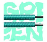 Stützstange-Motorhaube Für Benz Für B-Klasse Für W245 2005-2011 Vorderen Motorhaube Ändern Gas Streben Frühling Dämpfer Lift Unterstützung Absorber(GREEN CARBON FIBER)