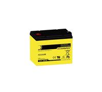 SUN Battery AGM Akku 12V 36Ah High Cycle zyklenfest - F-M6 Schraubanschluss (195×130×168mm)