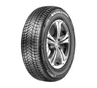 Sunny NC 501 205/55 R16 94 V, Ganzjahresreifen